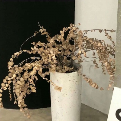 Furry绘画笔刷推荐福瑞群